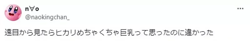 《小光爆乳错觉问题》宝可梦卡牌让绘师产生天大的误会 众多玩家都表示自己看错了……