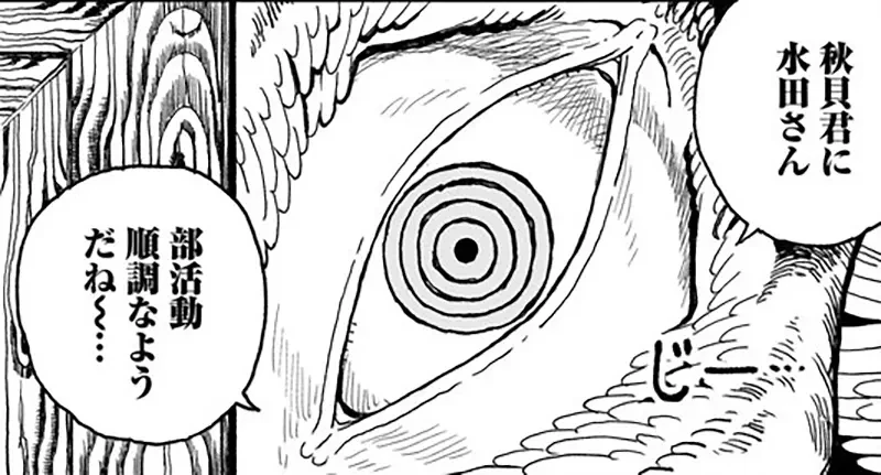 qZ7Fn6GcwdOcrNjJw52flo3Y1d4.webp_03_15_2025