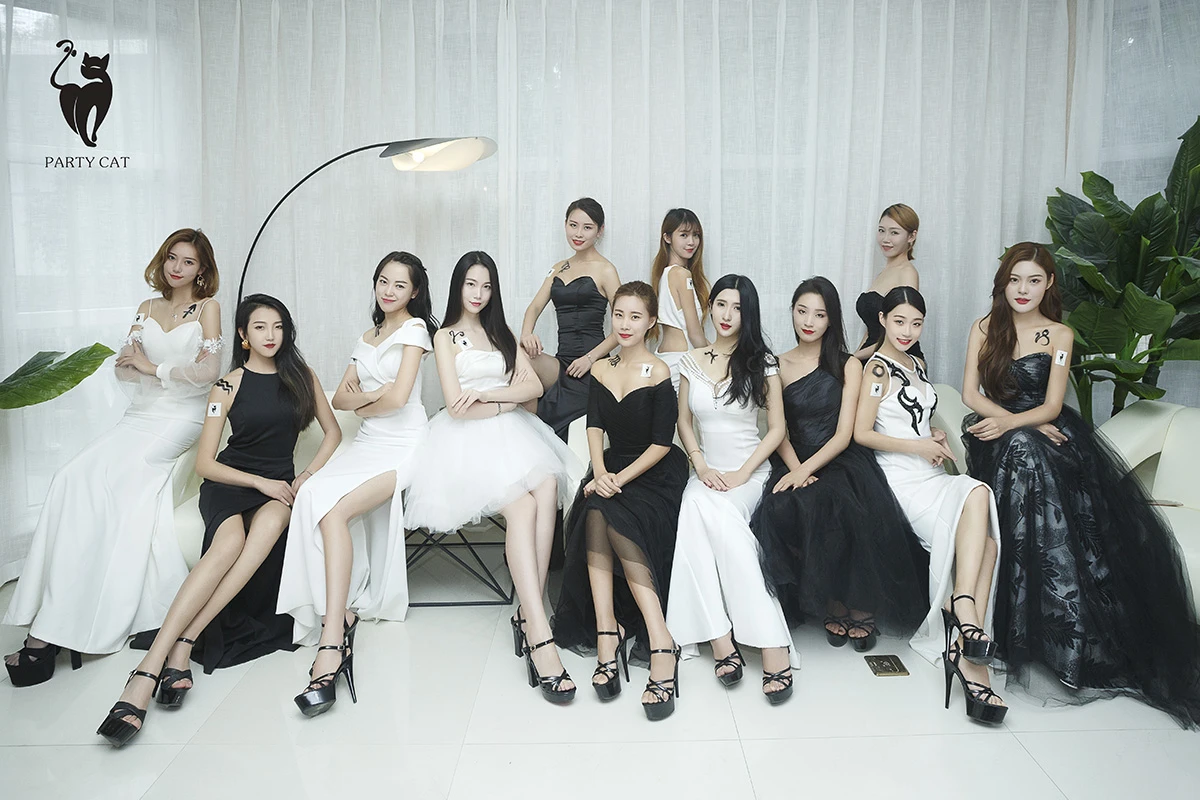 partycat001_04_03_2025