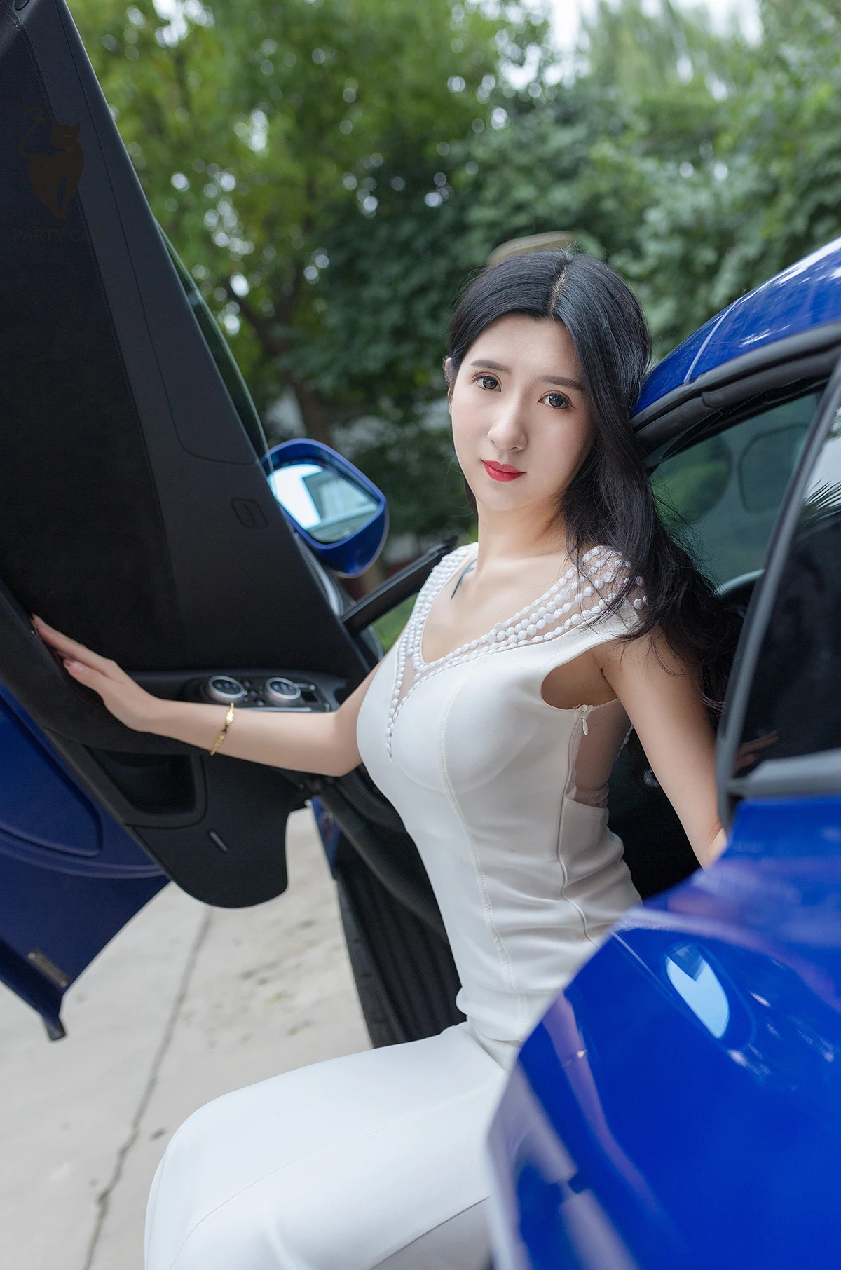 partycat028_04_03_2025