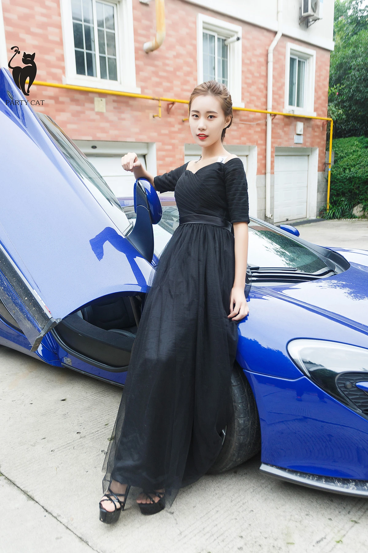 partycat003_04_03_2025