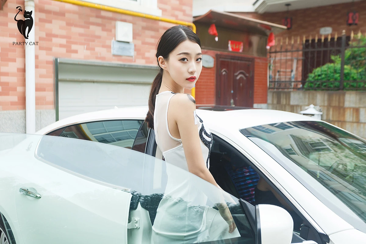 partycat017_04_03_2025