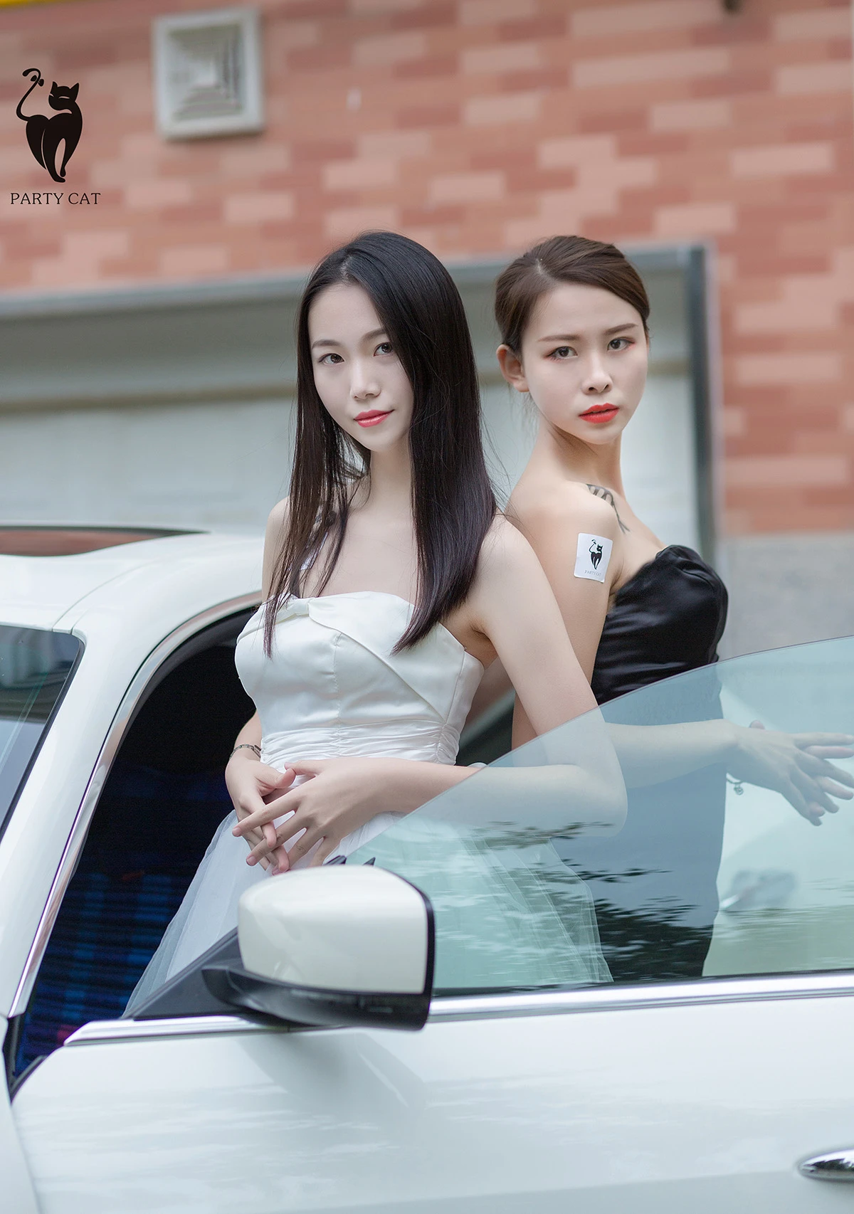 partycat029_04_03_2025