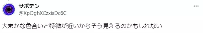 《论博丽灵梦的衣服》日本动漫界的知名巫女角色 但仔细想想她穿的根本不是巫女服?