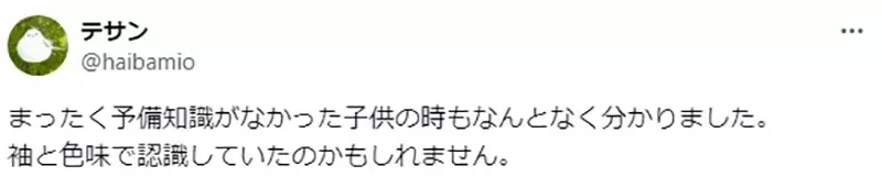 《论博丽灵梦的衣服》日本动漫界的知名巫女角色 但仔细想想她穿的根本不是巫女服?
