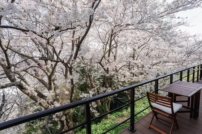 qZ_S0aPKk9PI2qWXl52el43Y1d4.webp_05_11_2025