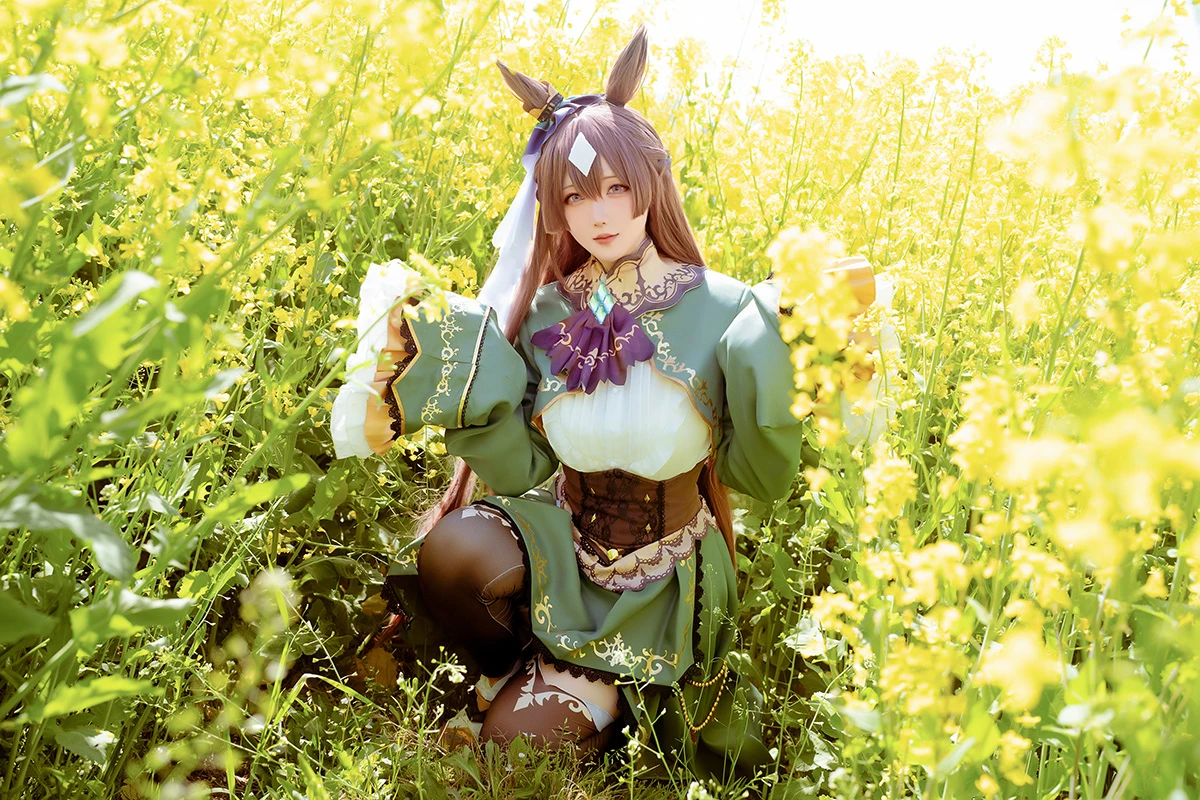 [星之迟迟] 赛马娘 里见光钻 梦想的回应