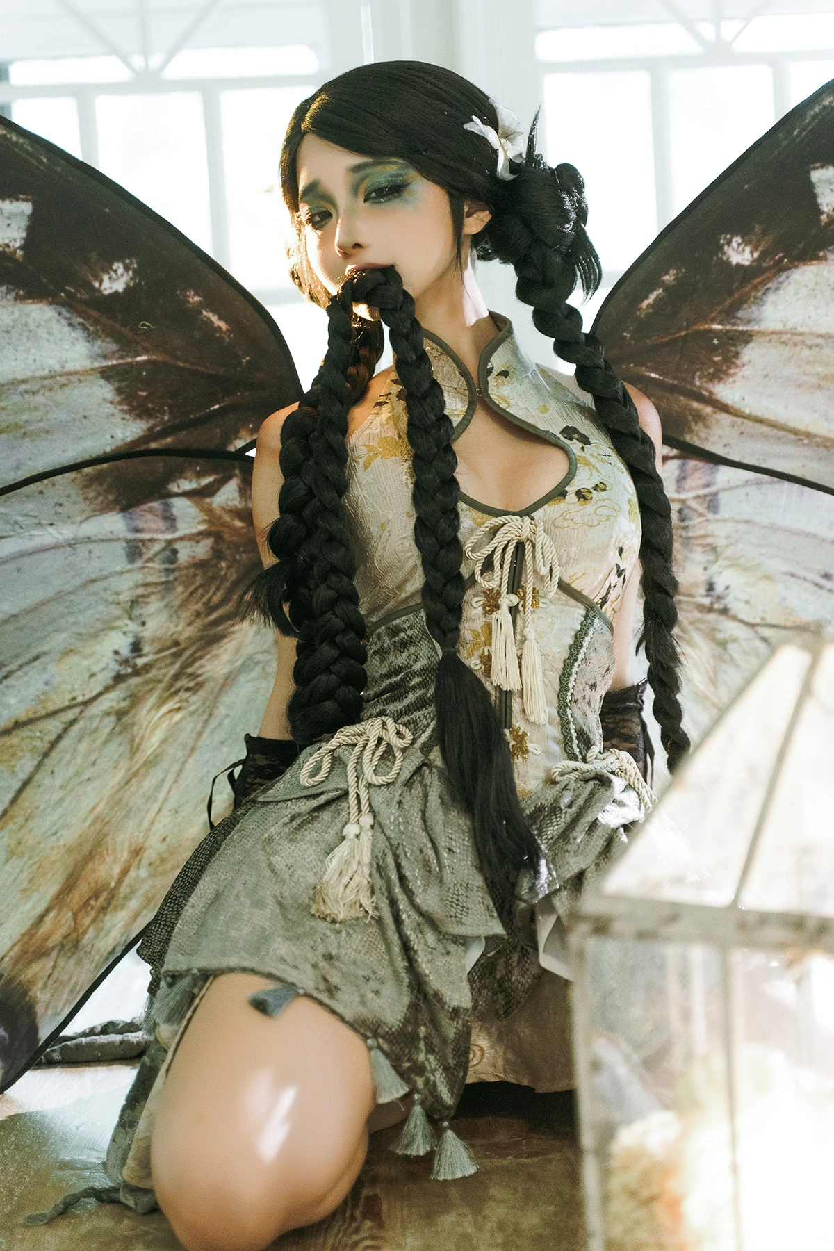 [蠢沫沫] 枯叶蝶