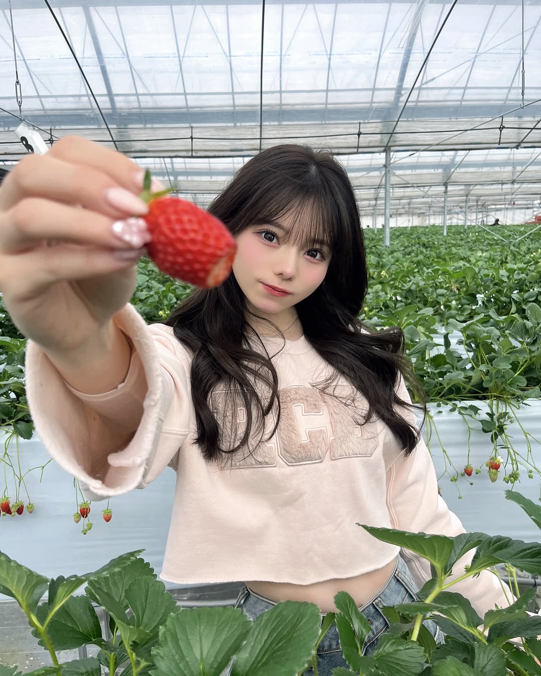 47cdaa81d4101df130421415b2bee36d