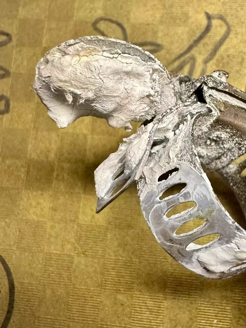 qZ_Yn52XwKPGsKSek52emo3Y1d4.webp_07_15_2025