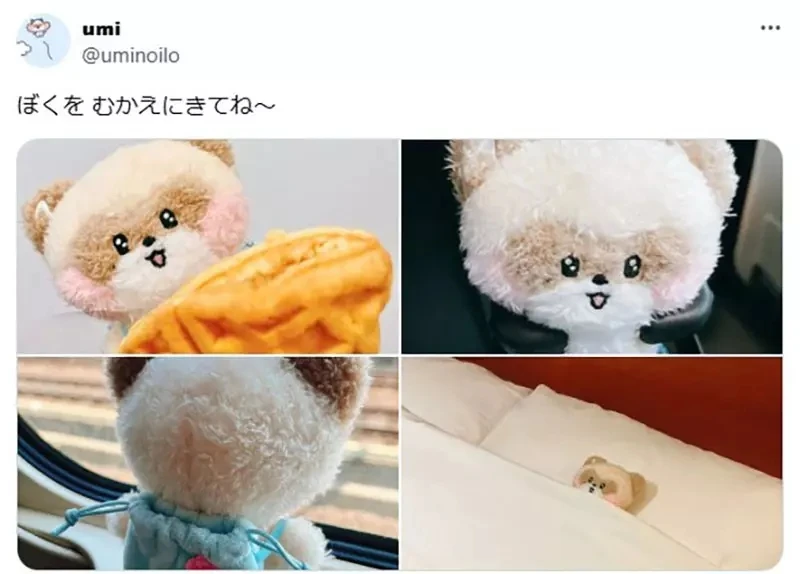 《布偶玩家道德问题》买布偶之前应该先了解原作吗？还是觉得可爱就可以抱回家了呢？