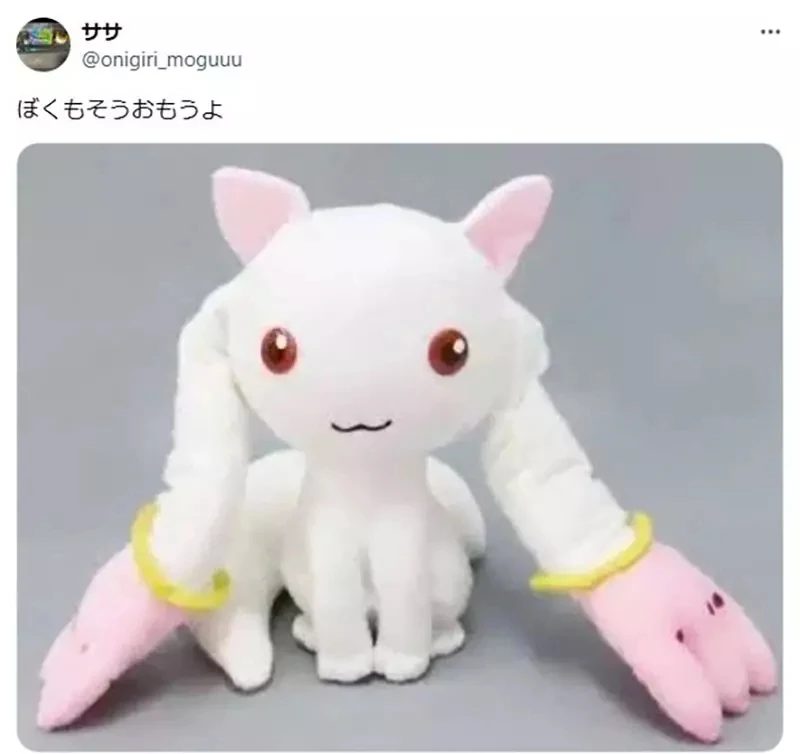 《布偶玩家道德问题》买布偶之前应该先了解原作吗？还是觉得可爱就可以抱回家了呢？