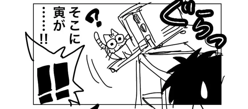 《猫咪VS微波炉》日本绘师呼吁大家要小心 养猫家庭都必须注意这东西暗藏的危险