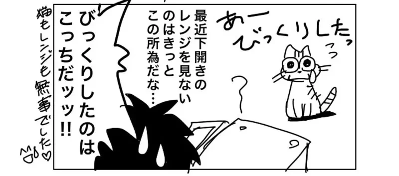 《猫咪VS微波炉》日本绘师呼吁大家要小心 养猫家庭都必须注意这东西暗藏的危险