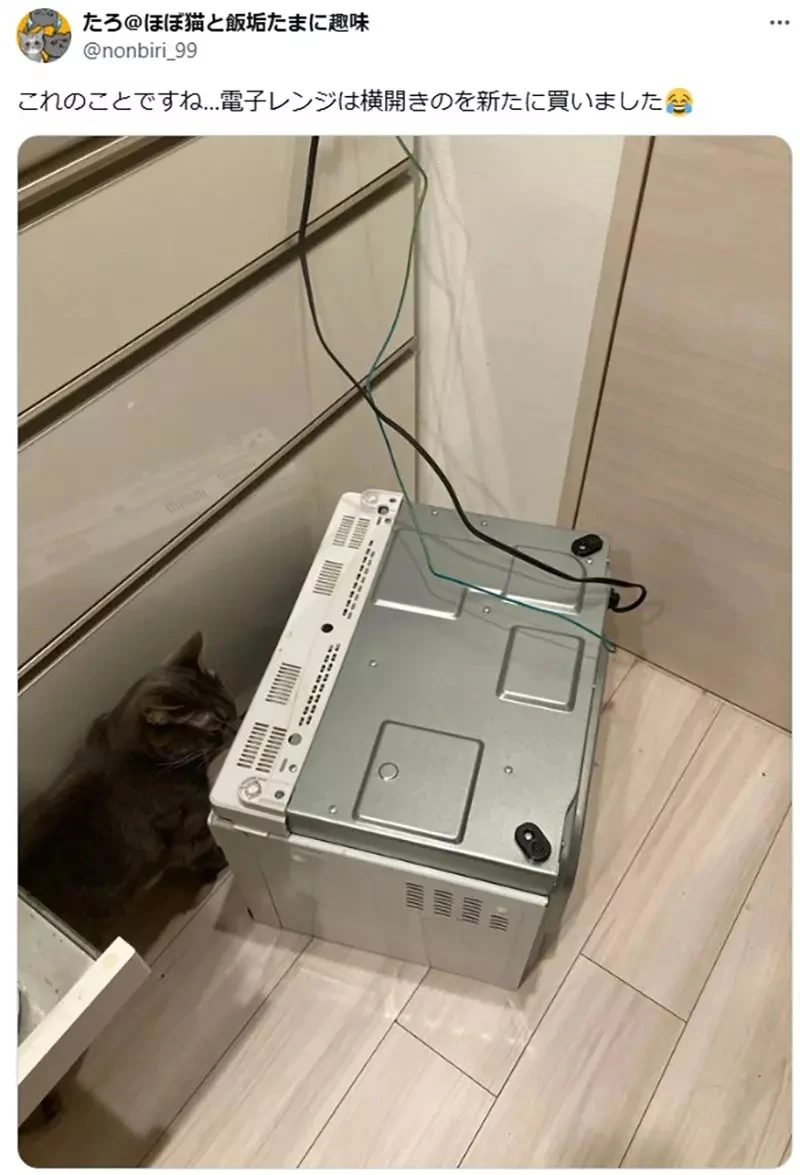 《猫咪VS微波炉》日本绘师呼吁大家要小心 养猫家庭都必须注意这东西暗藏的危险