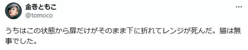 《猫咪VS微波炉》日本绘师呼吁大家要小心 养猫家庭都必须注意这东西暗藏的危险