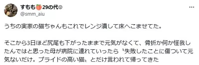 《猫咪VS微波炉》日本绘师呼吁大家要小心 养猫家庭都必须注意这东西暗藏的危险
