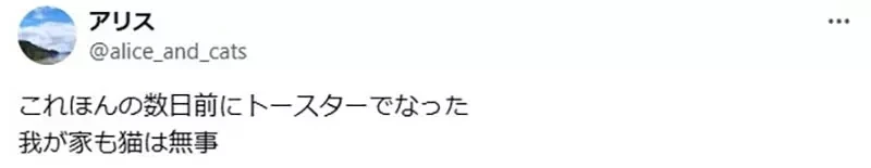 《猫咪VS微波炉》日本绘师呼吁大家要小心 养猫家庭都必须注意这东西暗藏的危险