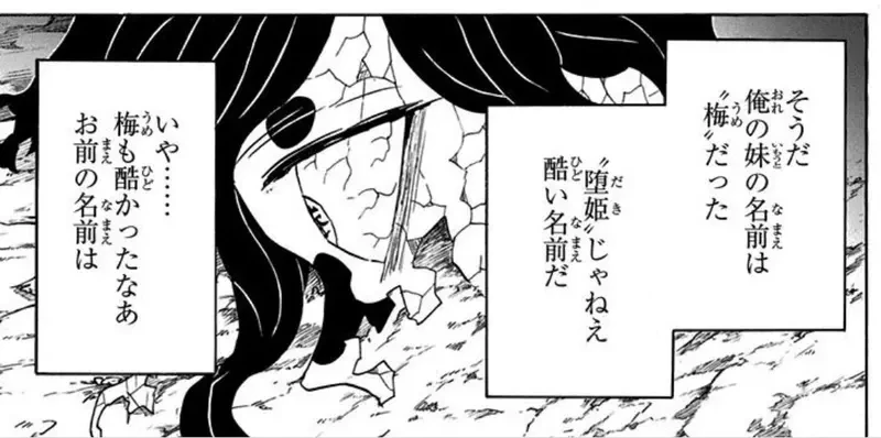 《用鬼灭角色替小孩取名》谁不好选偏偏选堕姬 女儿女婿的坚持让她好担忧