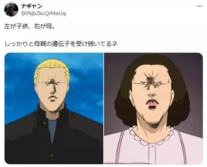 《动漫人物的遗传特征》只有母亲基因会影响小孩吗?日本网友举出各种正反案例