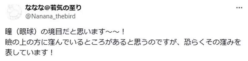 《神绘师的技法》眼睛上面的这条线是什么?网友替他解惑之后立刻学起来