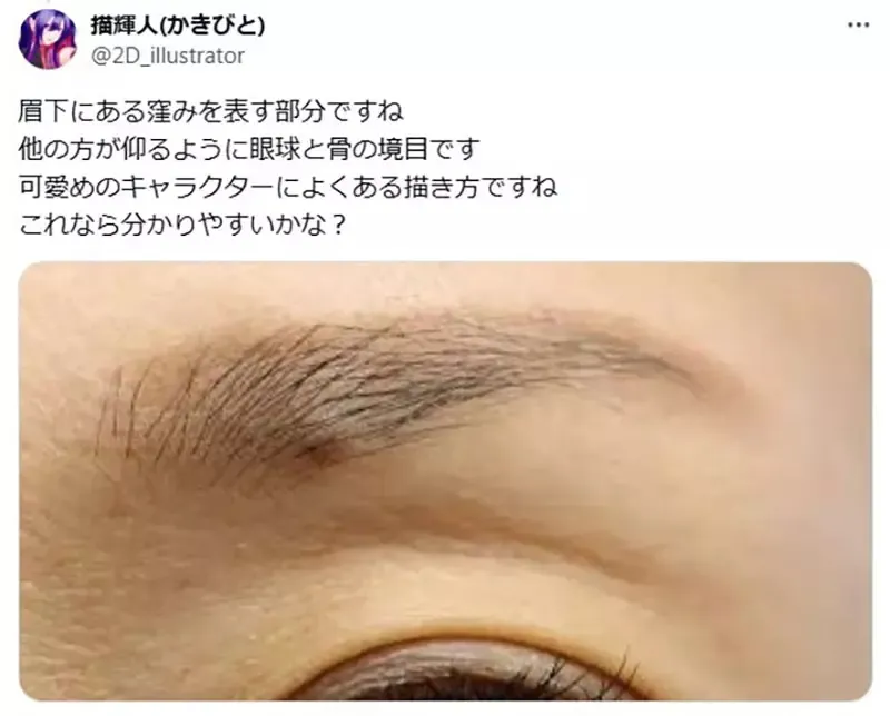 《神绘师的技法》眼睛上面的这条线是什么?网友替他解惑之后立刻学起来