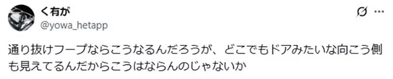 《任意门构造论》日本艺术家担心会发生这种意外 粉丝却吐槽他根本搞错了？