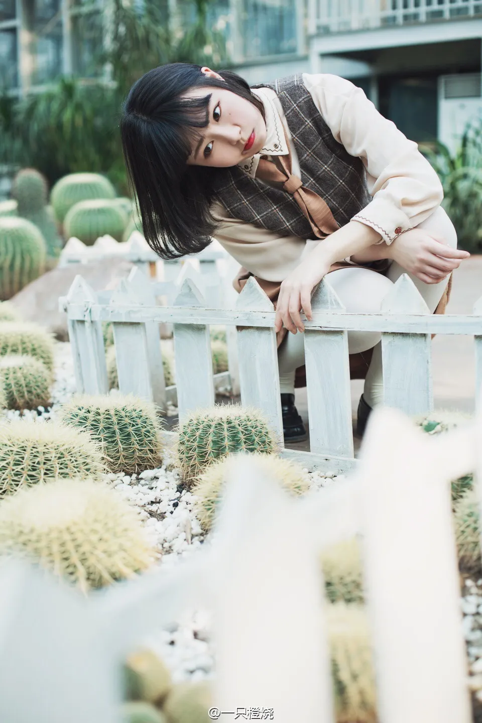 2017-03-04_20-02-55_10_26_2025