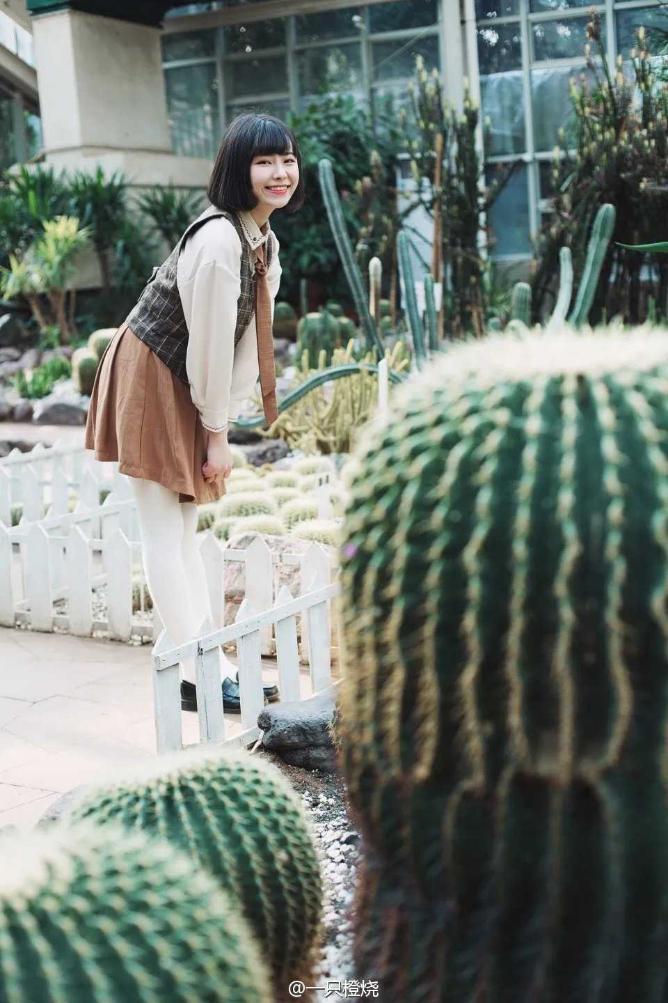 2017-03-04_20-02-56_10_26_2025