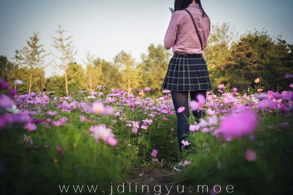 2017-03-07_20-03-10_10_26_2025