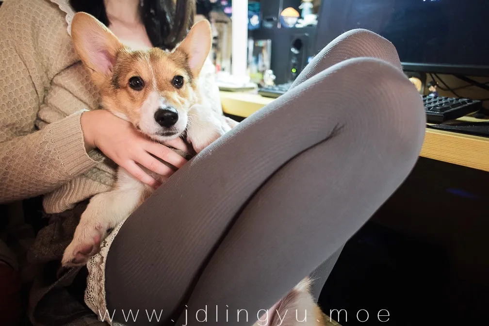 2017-03-07_20-03-06_10_26_2025