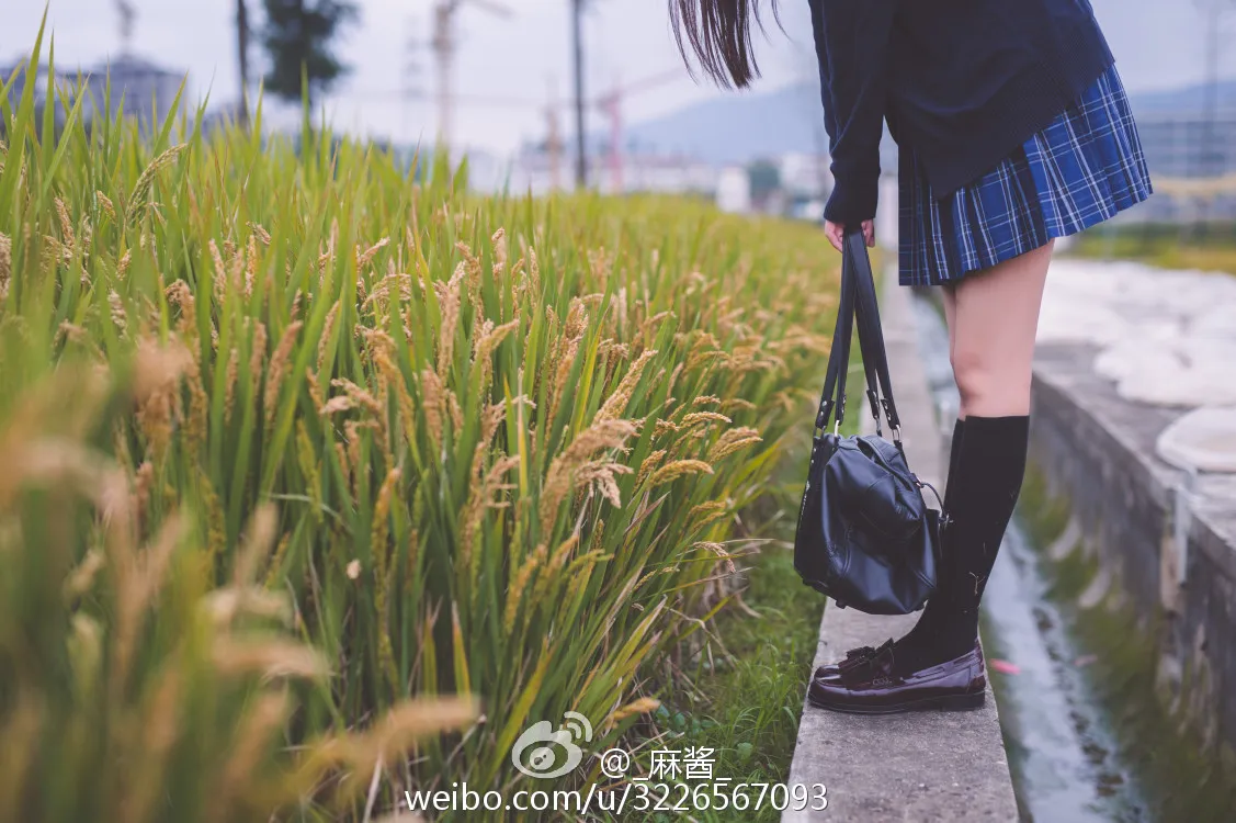 2017-03-08_23-18-49_10_26_2025