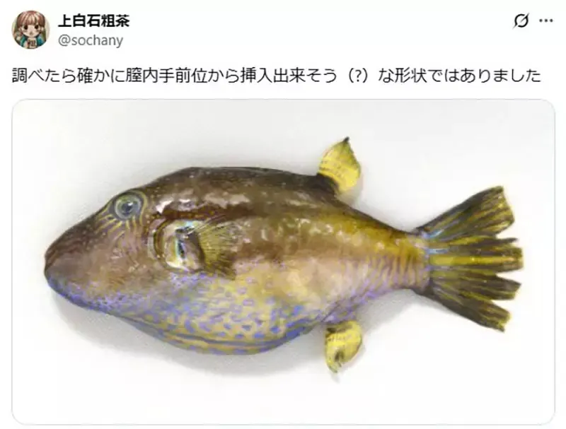 《奇葩河豚中毒案例》变态男女在船上啪啪啪 将河豚当成玩具的结果是……