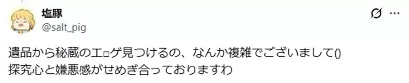 遗物当中翻出秘藏的《18禁格斗游戏》他感慨父亲的威严尽失了