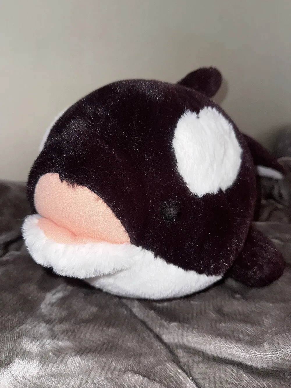 28897464b1646166f308317f0275fa0c_01_11_2026