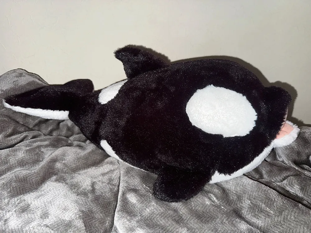 bbbd433b8b499815f653f4cfd652f70a_01_11_2026