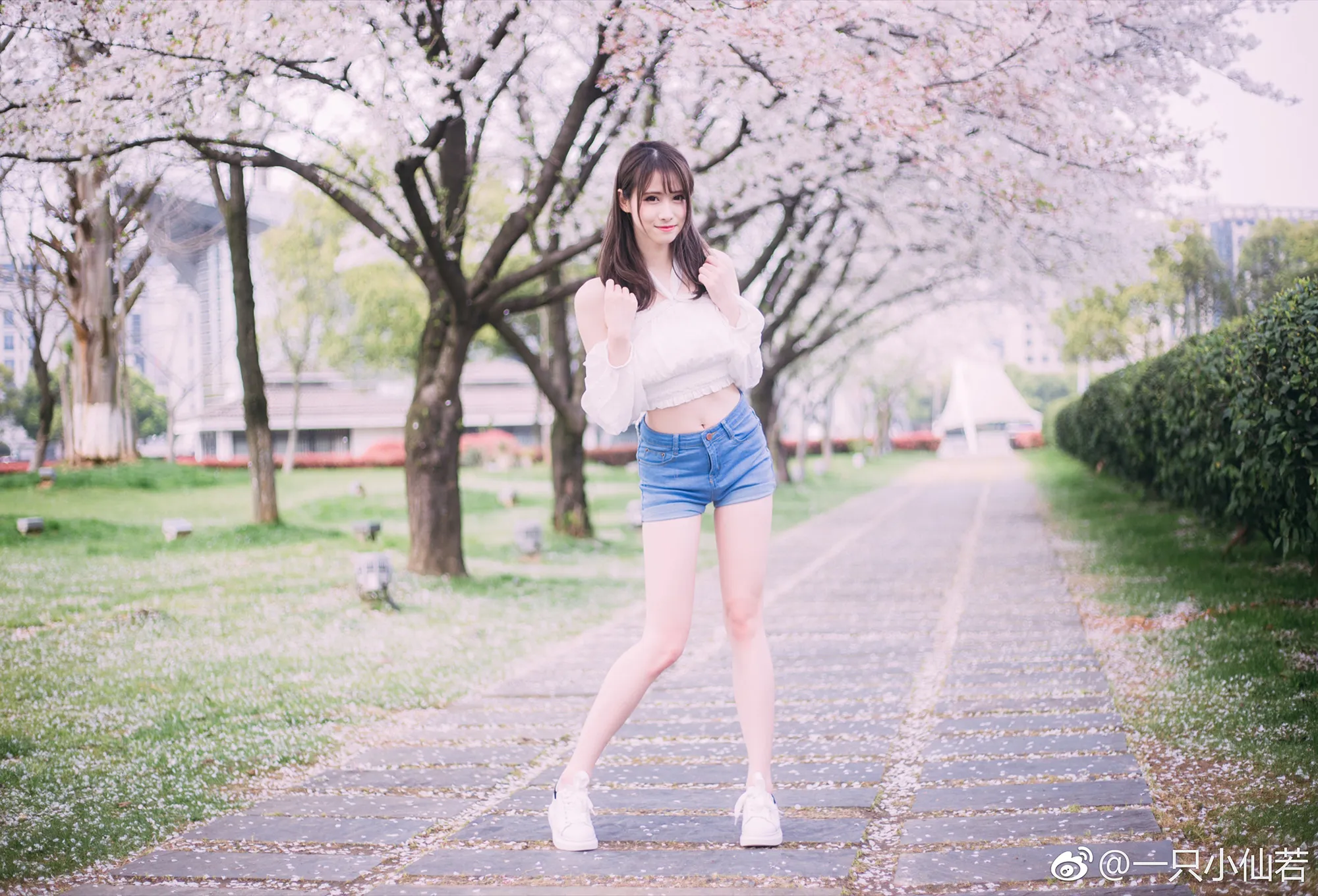 006nDG5Ely1g1lyhdutfmj333z246x6x_04_02_2026