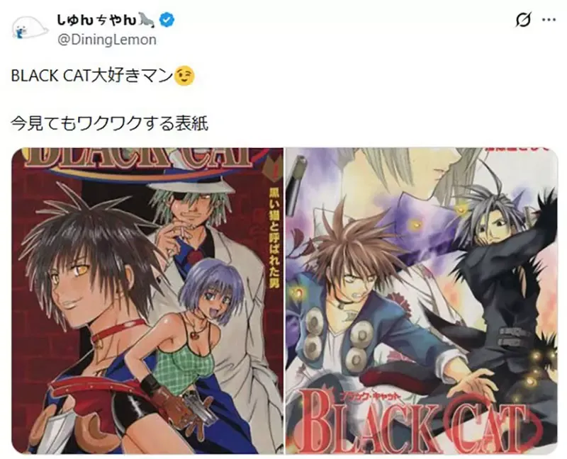 日本网友觉得矢吹健太朗的《黑猫》如果放到现在连载应该会爆红