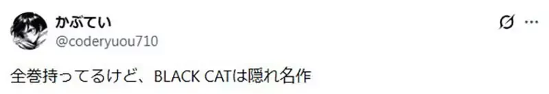 日本网友觉得矢吹健太朗的《黑猫》如果放到现在连载应该会爆红