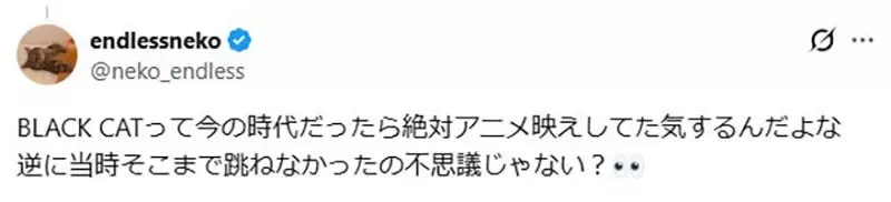 日本网友觉得矢吹健太朗的《黑猫》如果放到现在连载应该会爆红