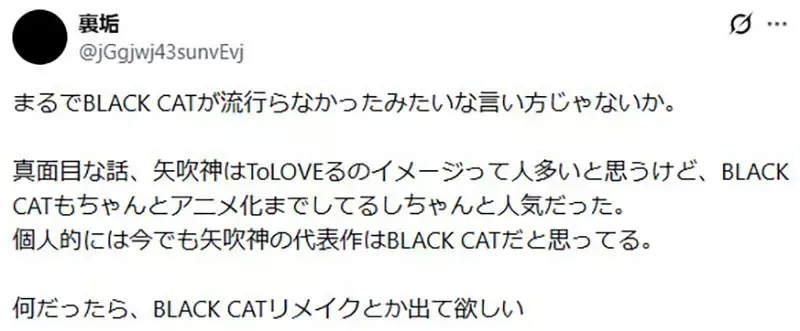 日本网友觉得矢吹健太朗的《黑猫》如果放到现在连载应该会爆红