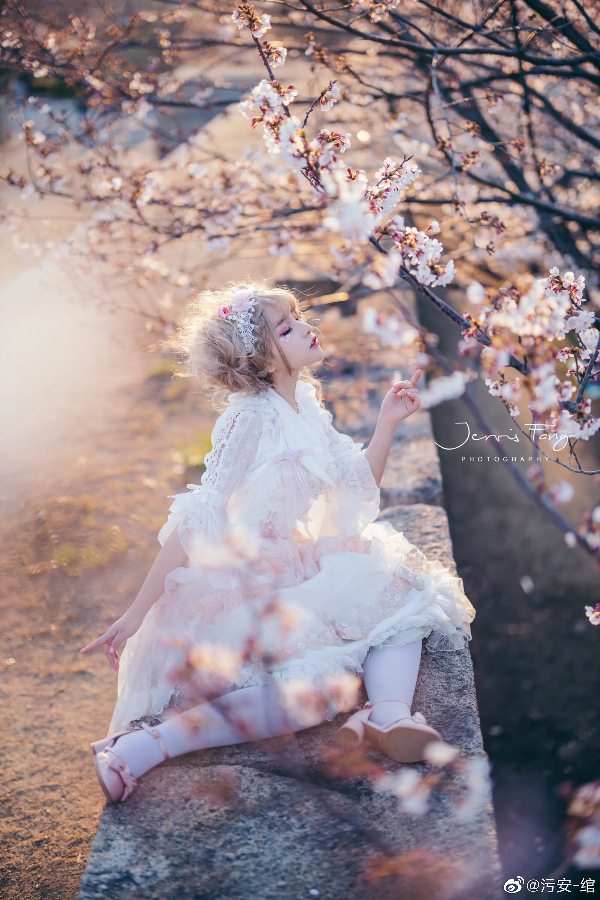 夕阳 • 城墙 • 樱花 • 日落