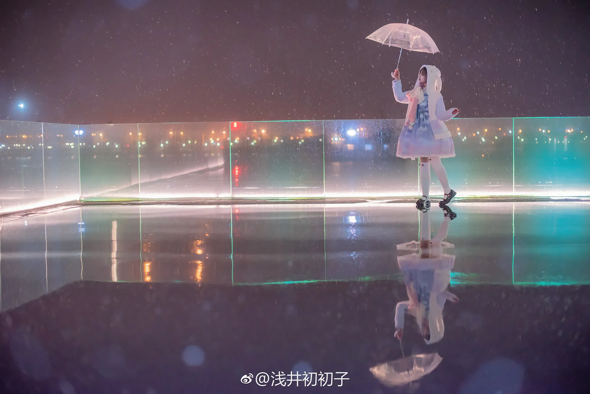 初春に降った雪のような、それは儚い景色なんだ。