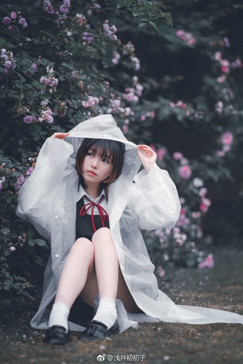 787d61a1gy1fremgjpkfdj20sg16ngx6