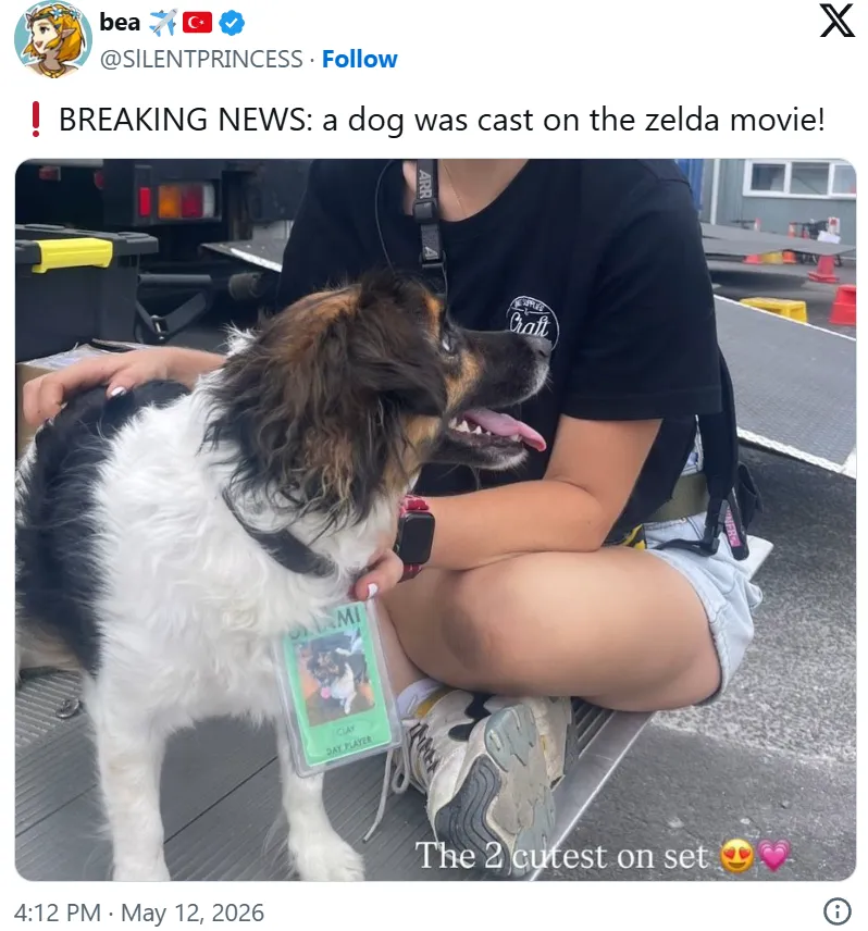 宫本茂宣布真人电影《塞尔达传说》提前一周上映 再掀《旷野之息》改编猜测