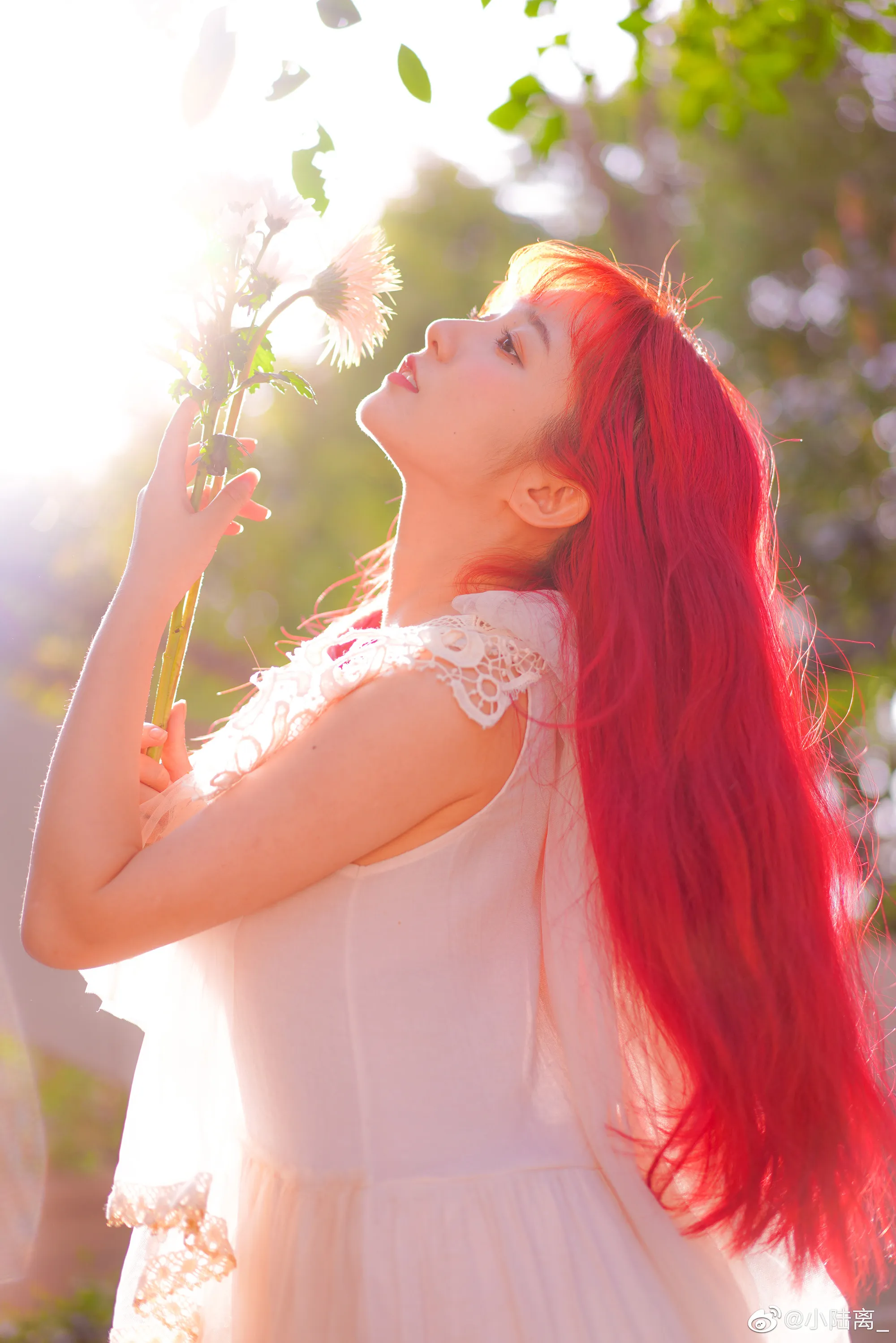 花与你