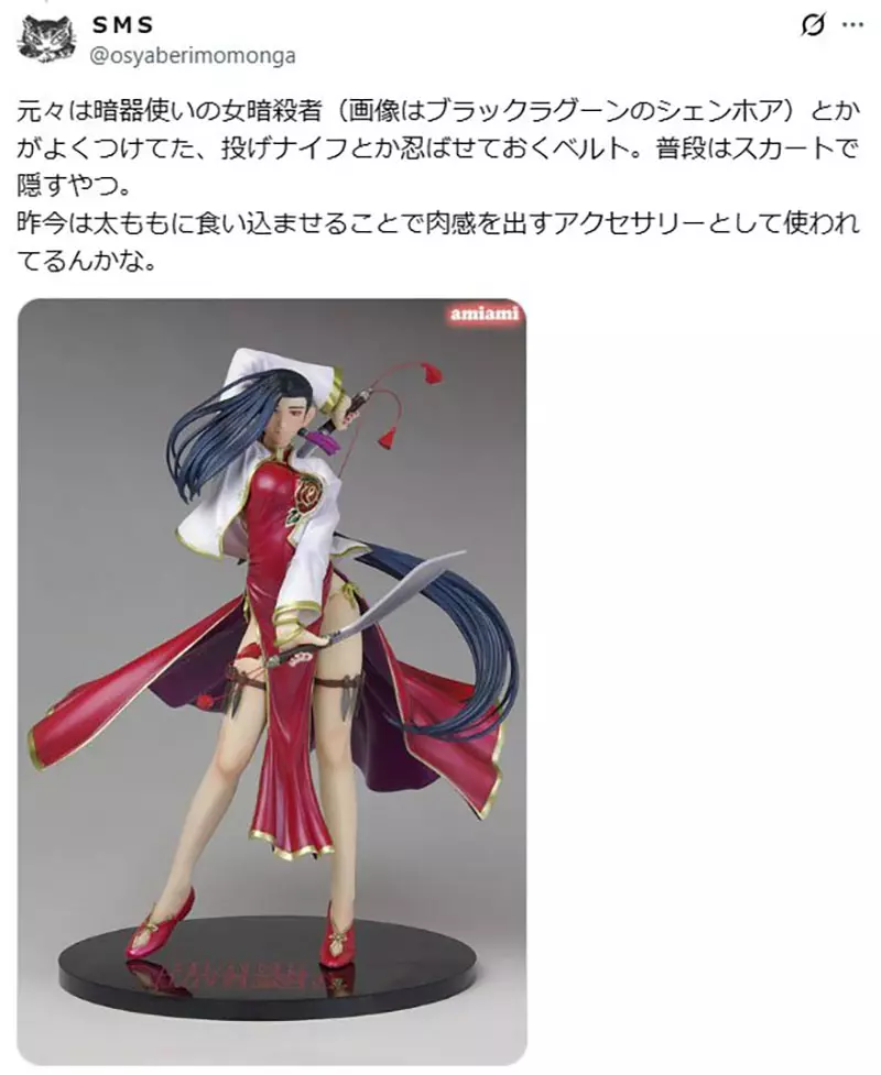 日本网友不懂《手游女角腿上那玩意》到底是什么？大家纷纷举出有绑腿环的角色了……