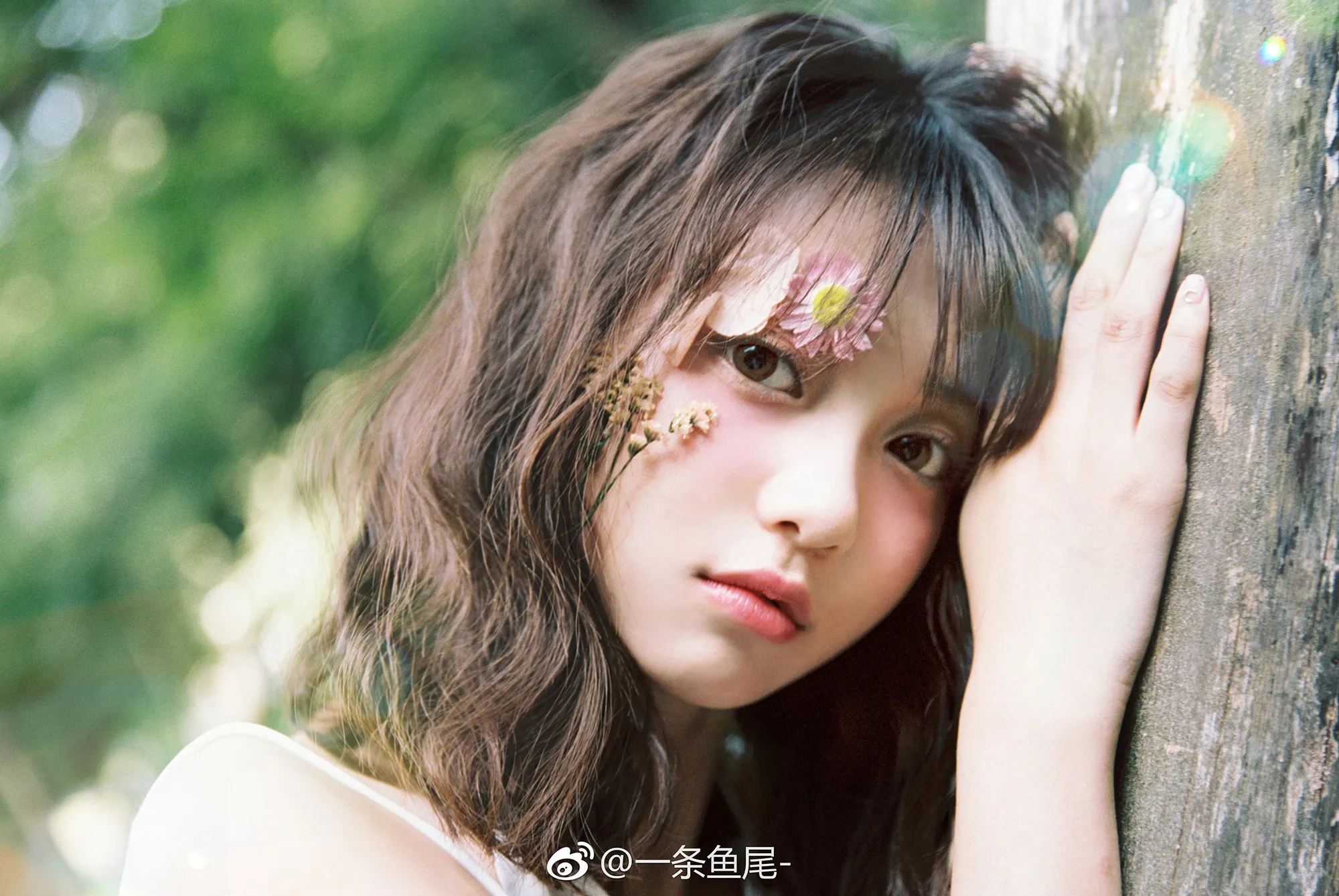 你是我未曾拥有无法捕捉的亲昵。