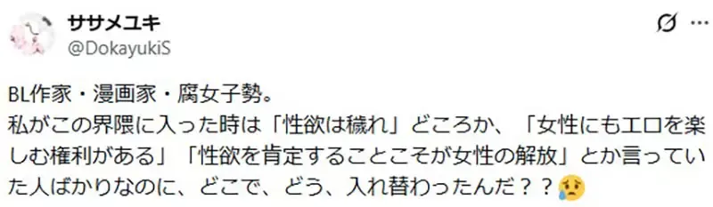 资深腐女疑惑《BL圈排斥性欲》这种风潮是什么时候开始的?