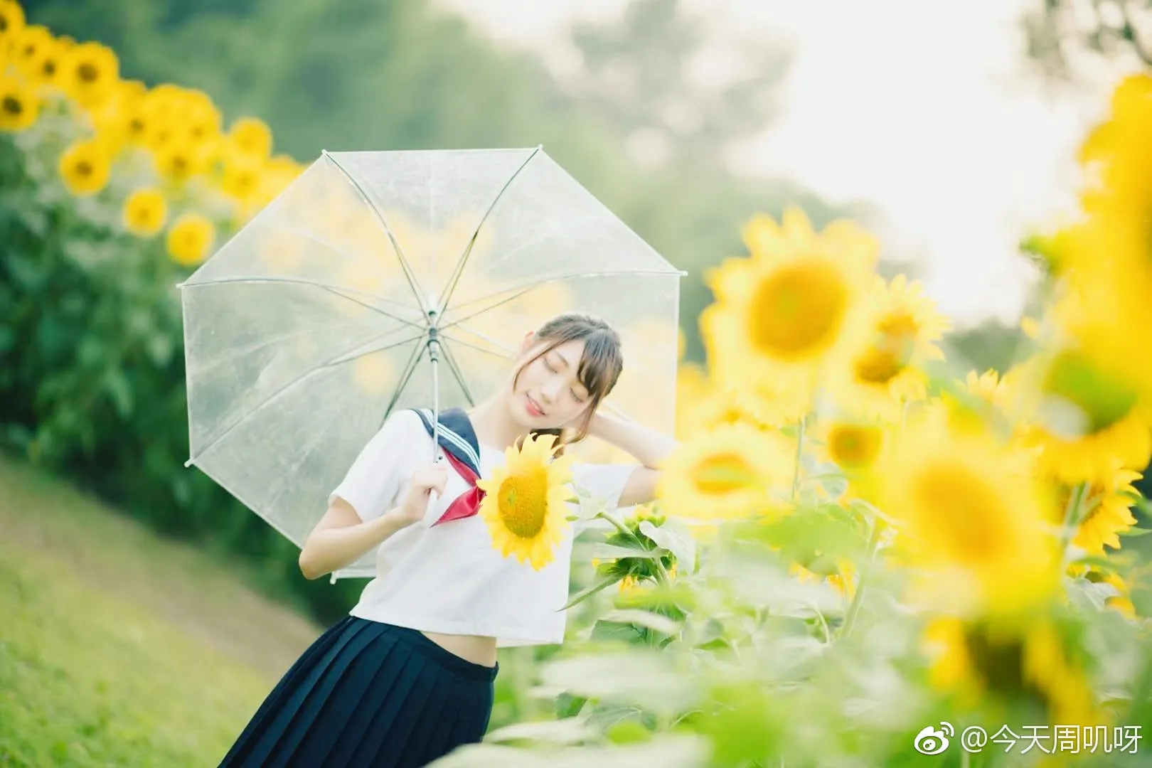 淡淡的温暖的感觉